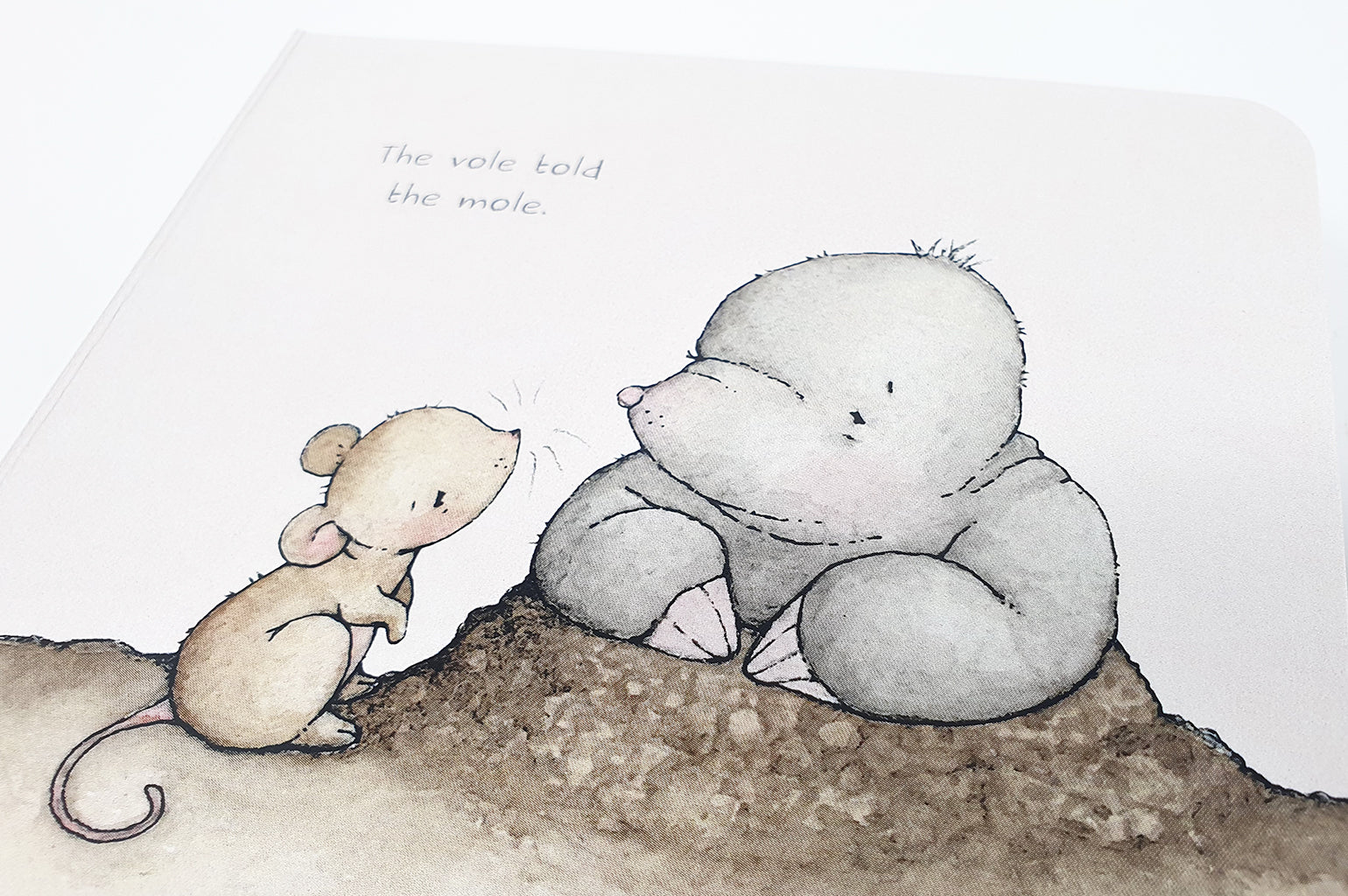 A New Friend is Here Baby Story Board Book