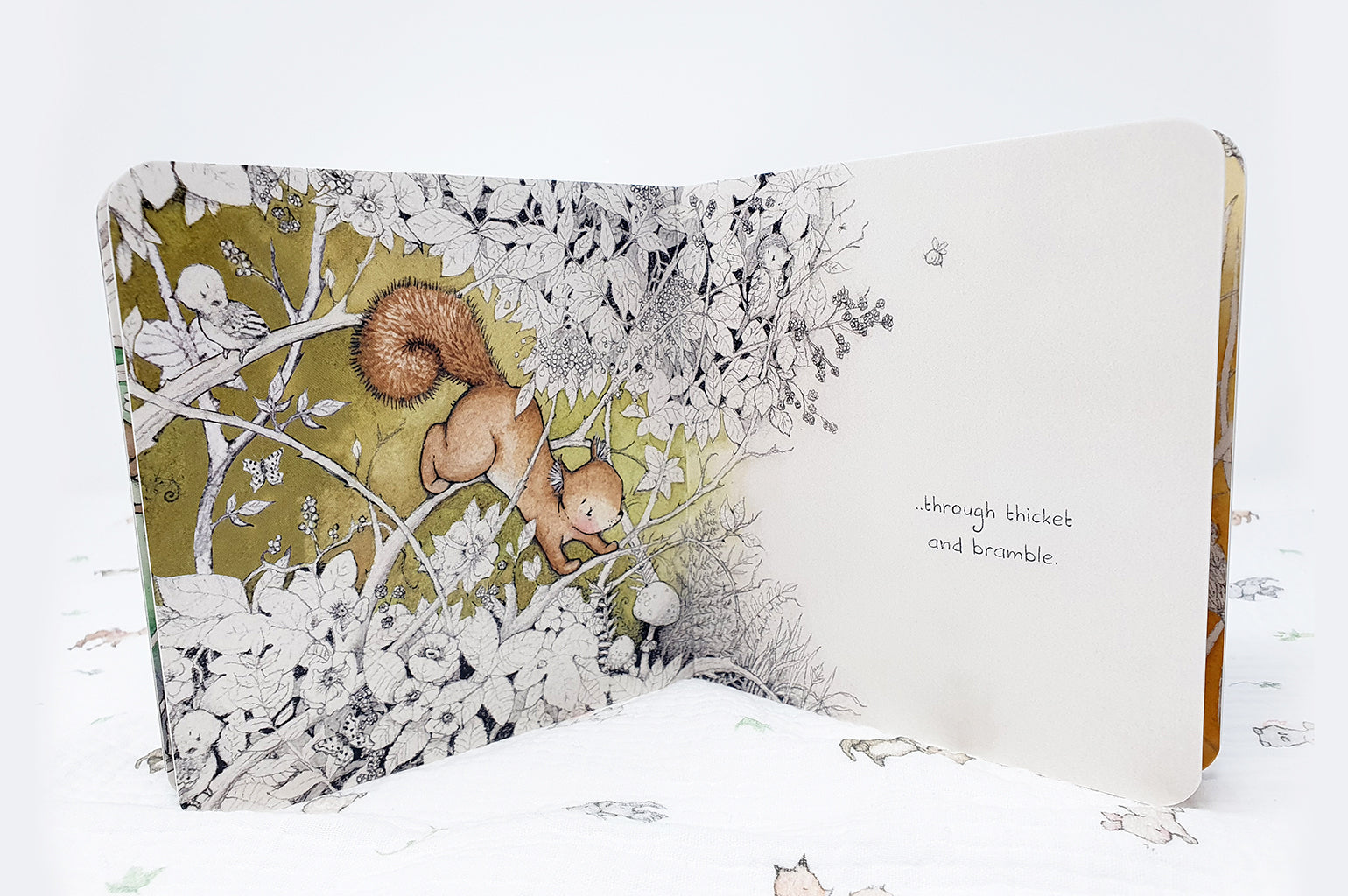 A New Friend is Here Baby Story Board Book