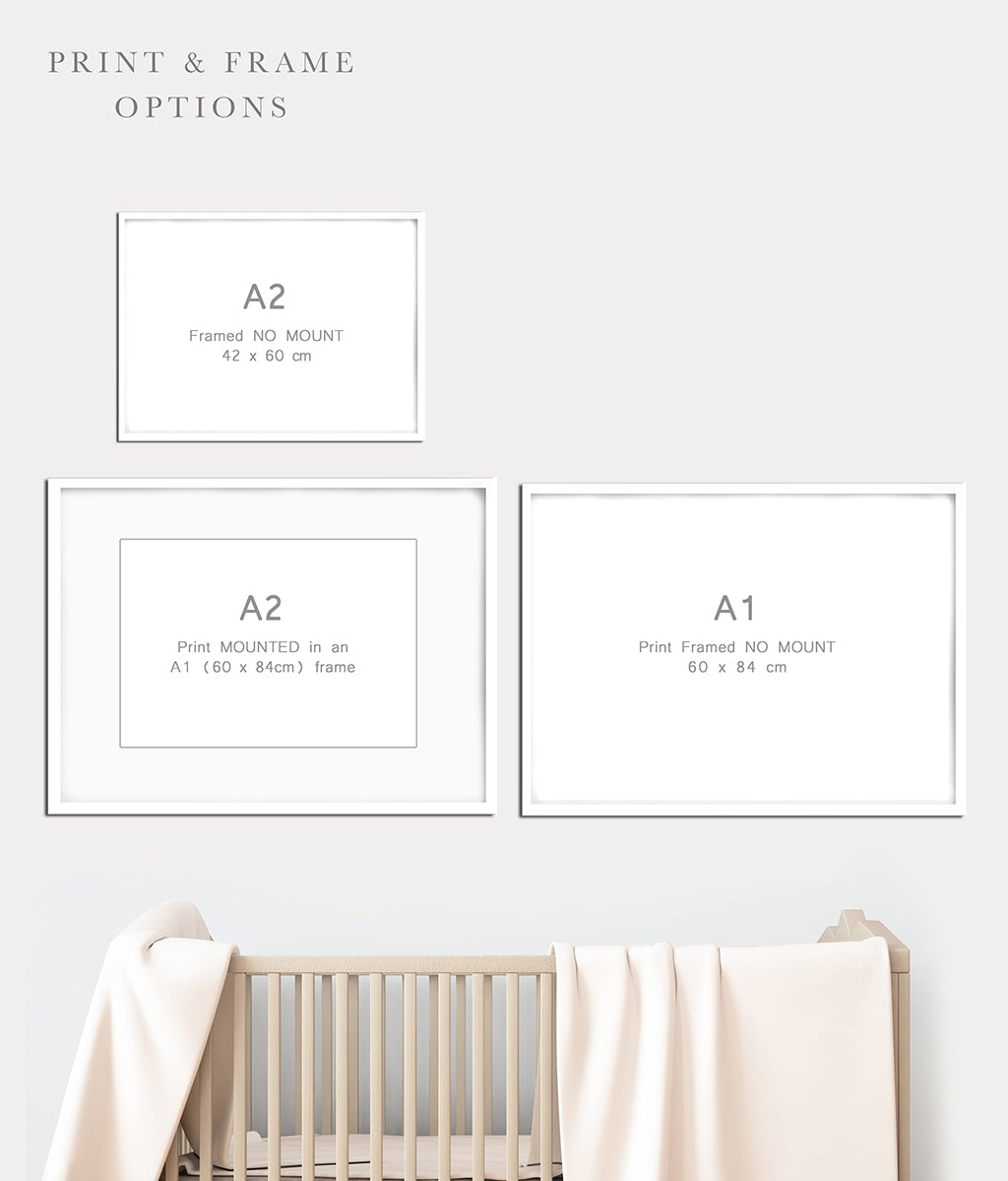 Big Noah&#39;s Ark Children&#39;s Picture