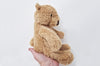 Soft Plush Children&#39;s Teddy Bear Toy