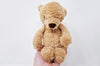 Soft Plush Children&#39;s Teddy Bear Toy