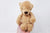 Soft Plush Children's Teddy Bear Toy