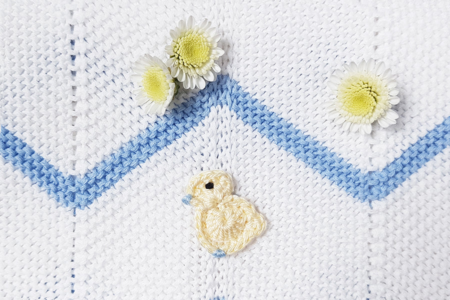 Boys Duck Blanket and Toy Gift Box