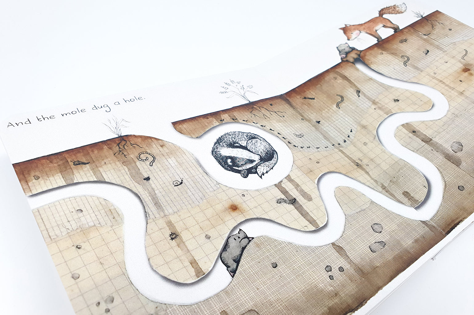 A New Friend is Here Baby Story Board Book