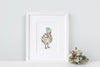 Newborn Baby Emu Picture