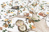 Children&#39;s Autumn Woodland Set of Framed Nursery Pictures