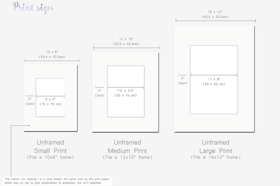 Personalised Newborn Elephant baby picture (Copy)