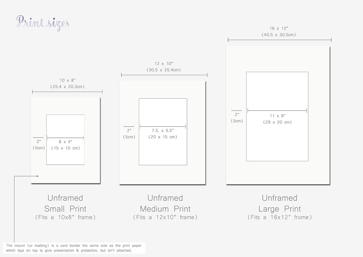 Newborn Baby Highland Cow Farm Animal Picture
