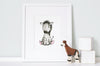 Personalised Newborn Zebra Baby Picture