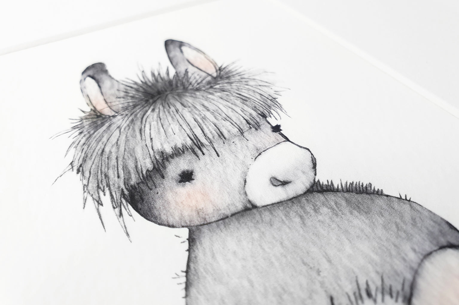 Newborn Baby Donkey Farm Animal Picture