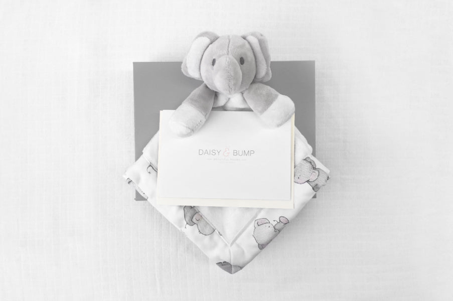 Elephant Voucher Gift Box