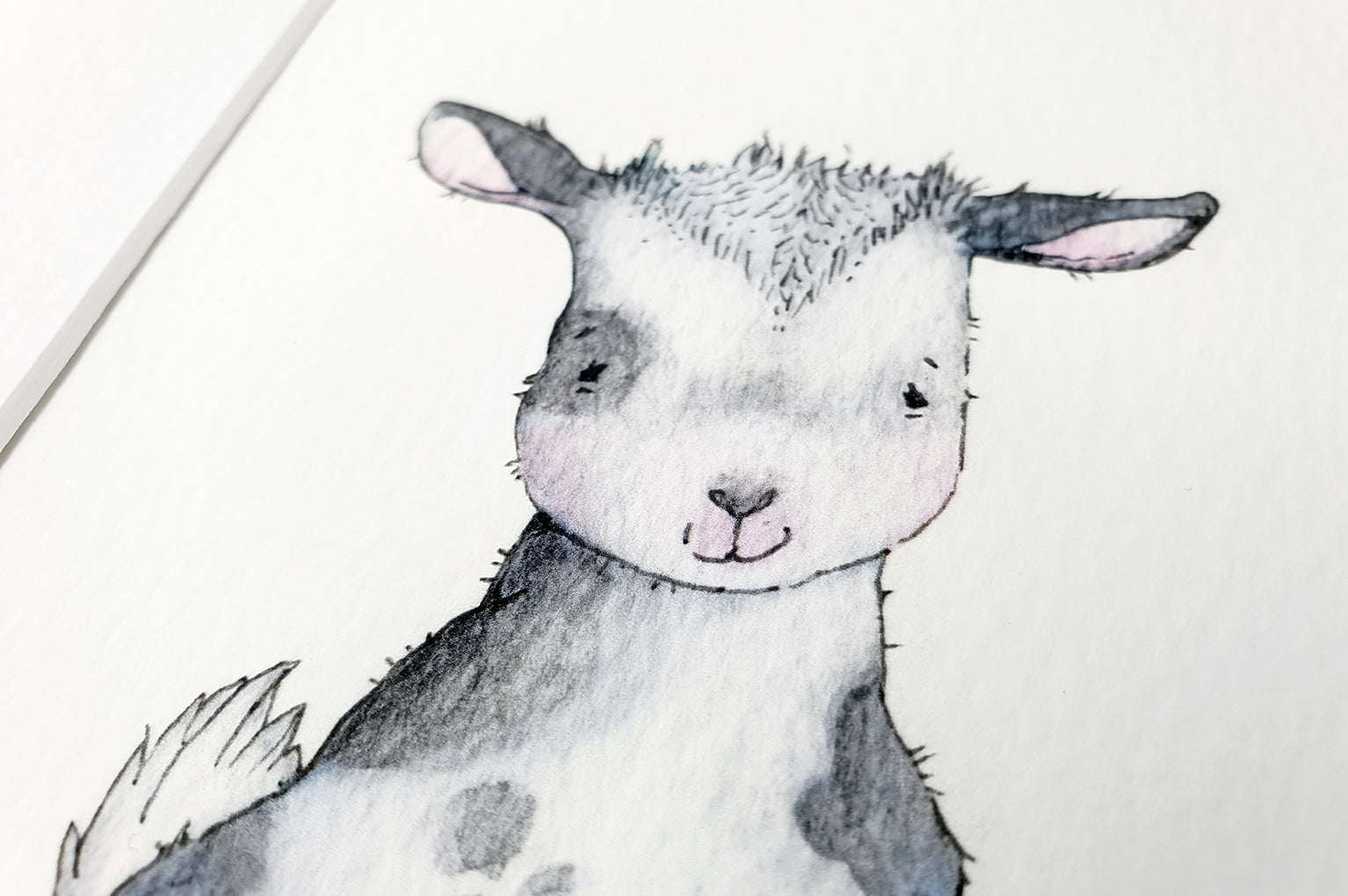 Children's Newborn Baby Goat Picture