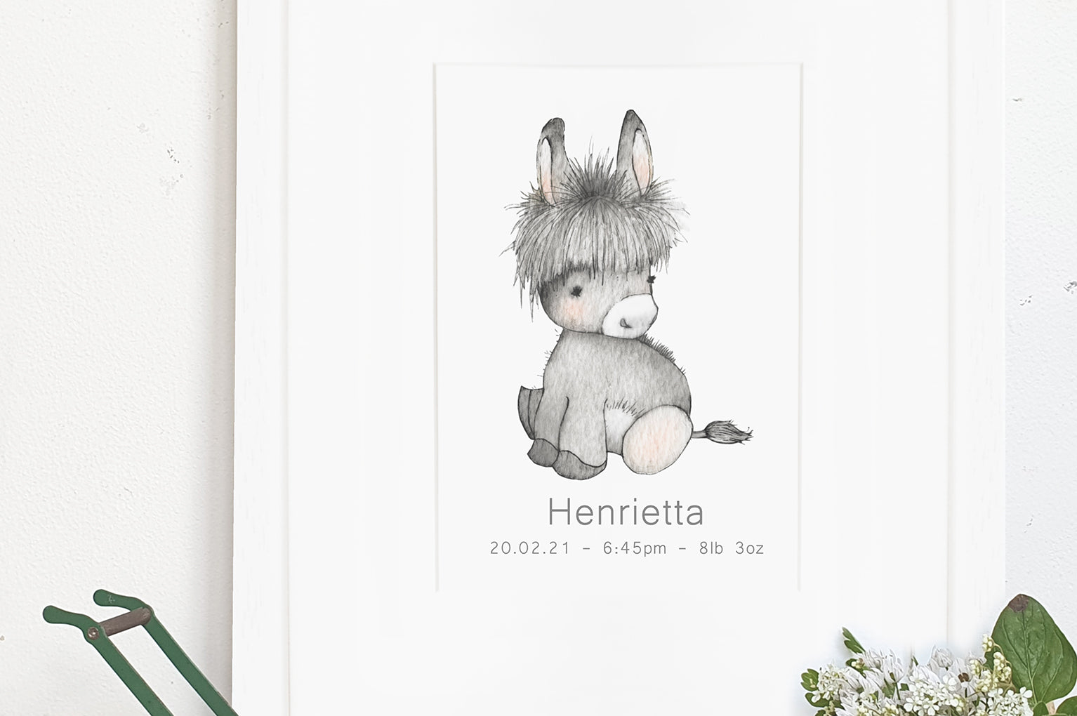 Newborn Baby Donkey Farm Animal Picture