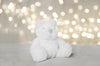 Small Soft Plush White Toy Bear
